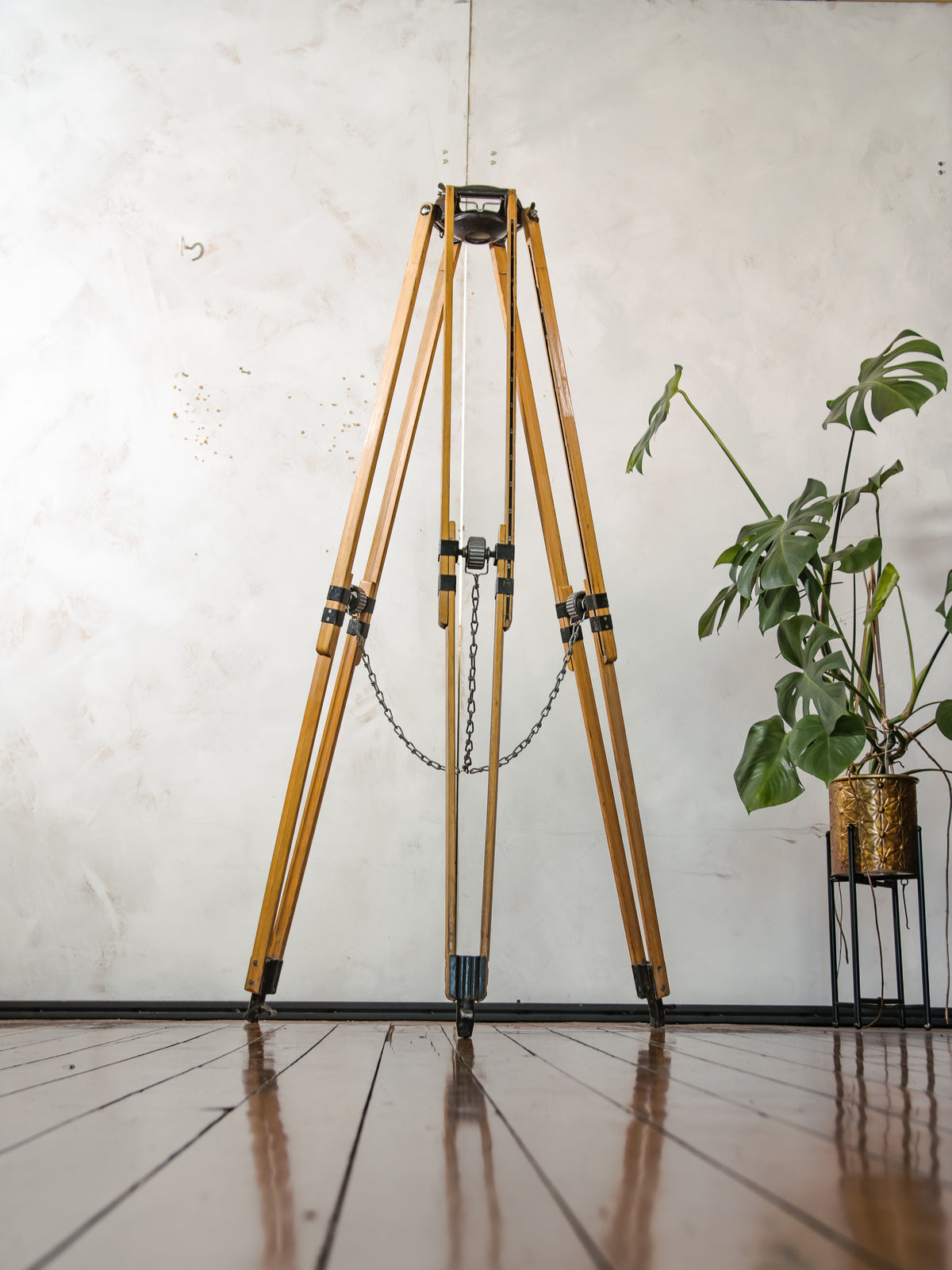 ARRI Wooden Tripod for Arriflex Cameras, detail view 9