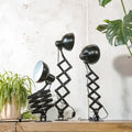 1930s Kaiser Idell 6718 Scissor Lamp, Satin Black restored Bauhaus Wall lighting, Antique light designed by Christian Dell
