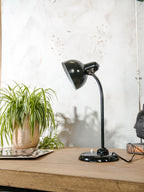 Kaiser Idell Model 6556, Table Lamp by Christian Dell, Antique Restored Table desk light, Bauhaus interior