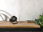 Fargo Multipar Spotlight Table Lamp | Vintage PAR Stage Light for Desk or Wall Mount