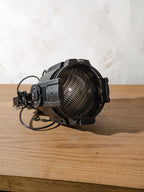 Fargo PAR Spotlight Pendant Lamp | Vintage Theatre Stage Light Hanging Lamp with Chain