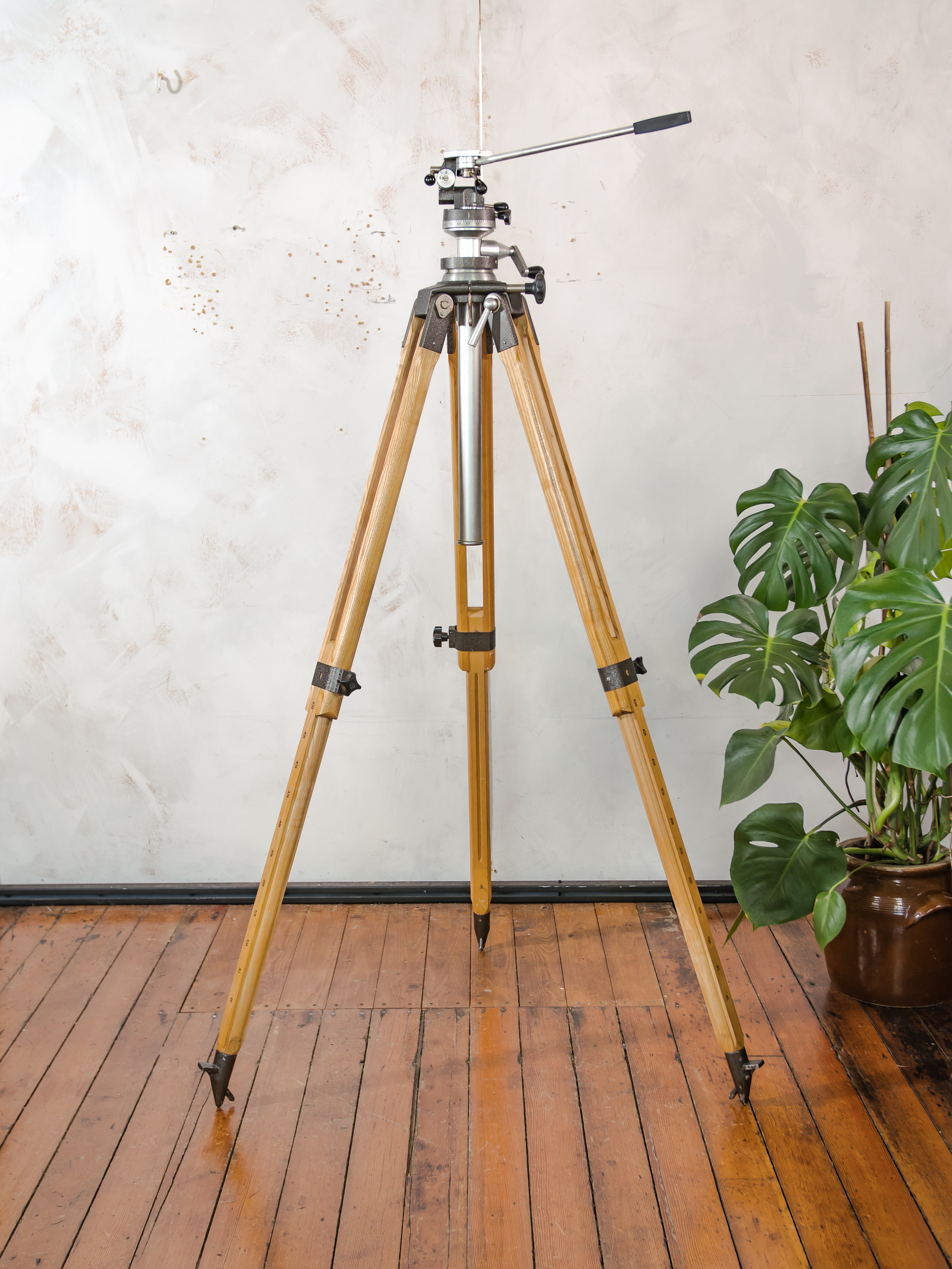 Vintage Large Solid Berlebach Mulda Wooden Photography Studio Tripod with Camera Head - Collectors item