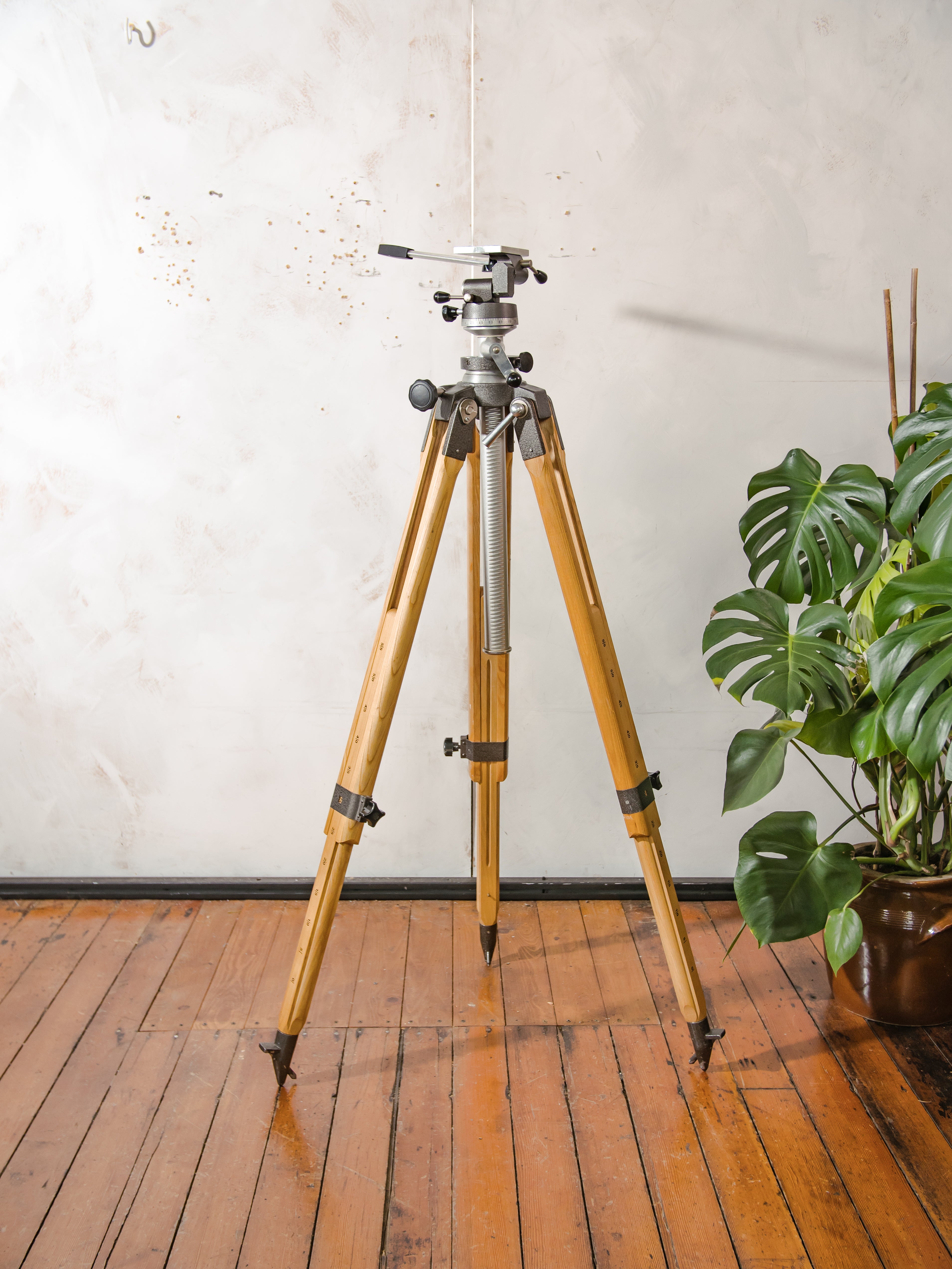 Vintage Large Solid Berlebach Mulda Wooden Photography Studio Tripod with Camera Head - Collectors item