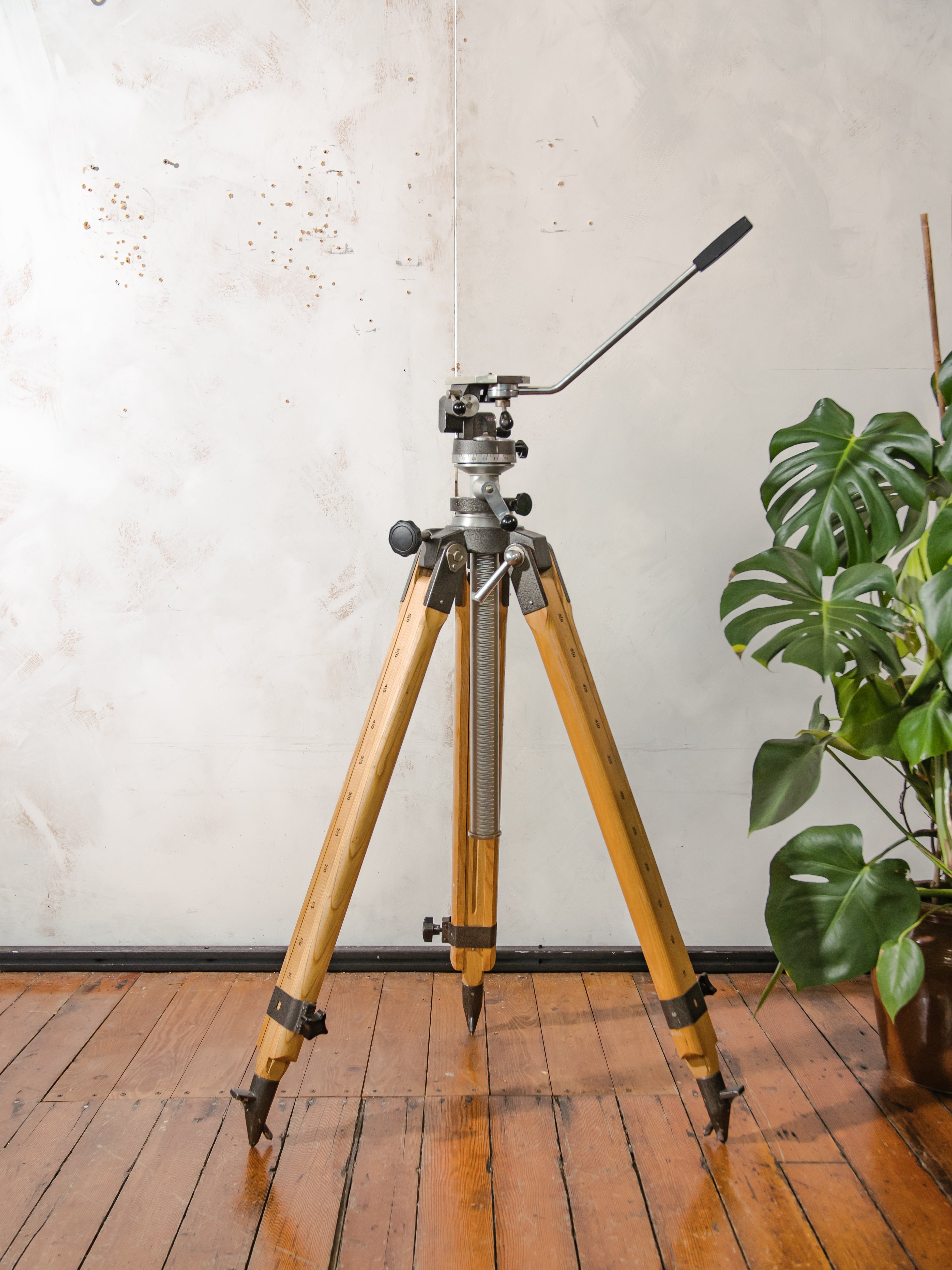 Vintage Large Solid Berlebach Mulda Wooden Photography Studio Tripod with Camera Head - Collectors item