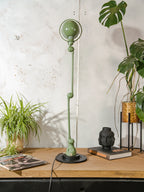 Vintage Green Jieldé Desk Lamp, 2 Arms 1950s, French Industrial Style Articulating Jielde Table light, with original Electrical Box