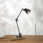 EDL two-arm machinist lamp, polished, 1950s | Blitzcraft Vintage