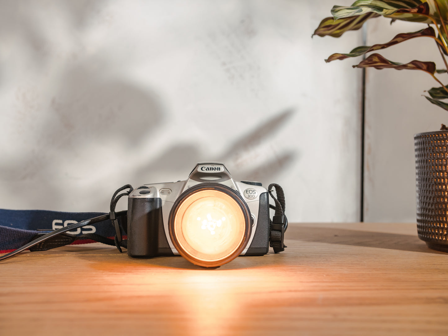 Retro DSLR Camera Lamp, Upcycled Canon EOS 300 Table, Desk & Wall Mount Design, Photographers gift, LED-compatible