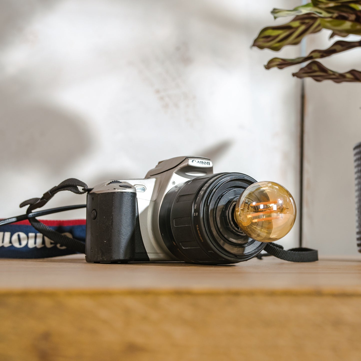 Retro DSLR Camera Lamp, Upcycled Canon EOS 300 Table, Desk & Wall Mount Design, Photographers gift, LED-compatible