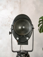Antieke jaren 50 A.E. Cremer Paris Black Film Spotlight op vintage houten Landmeters statief, theaterlamp, industriële retro Fresne verlichting