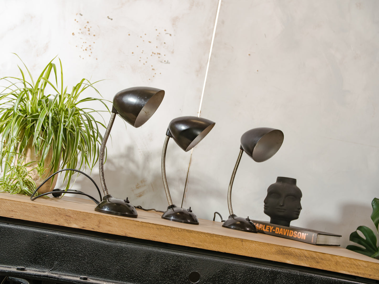 Vintage Eric Kirkman Cole bakelieten lamp, model 11105, Bauhaus bureaulamp uit de jaren 50, verstelbare zwanenhals tafel, designverlichting