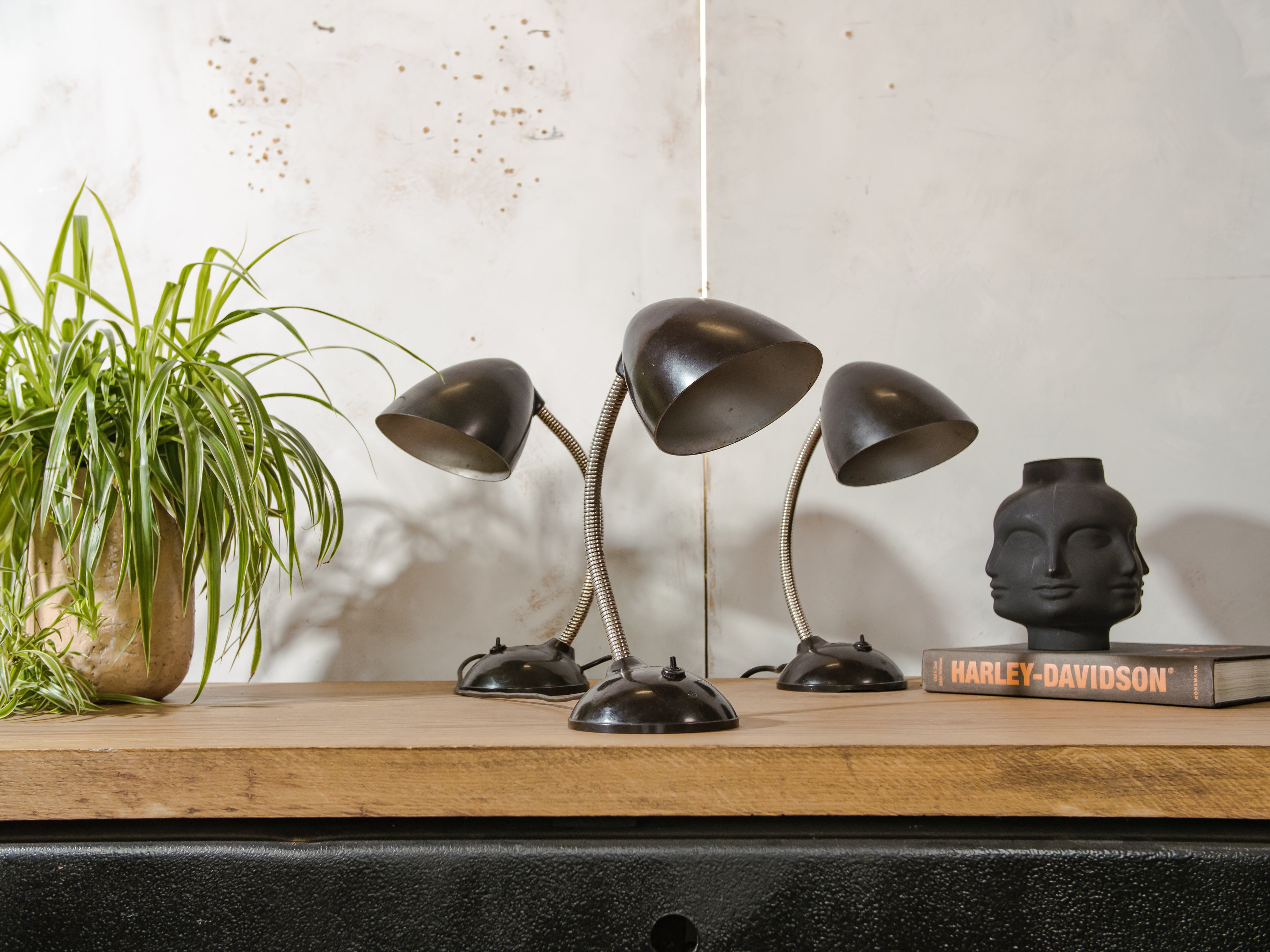 Vintage Eric Kirkman Cole Bakelite Lamp, Model 11105, 1950s Bauhaus Desk Light, Adjustable Gooseneck Table designer Lighting