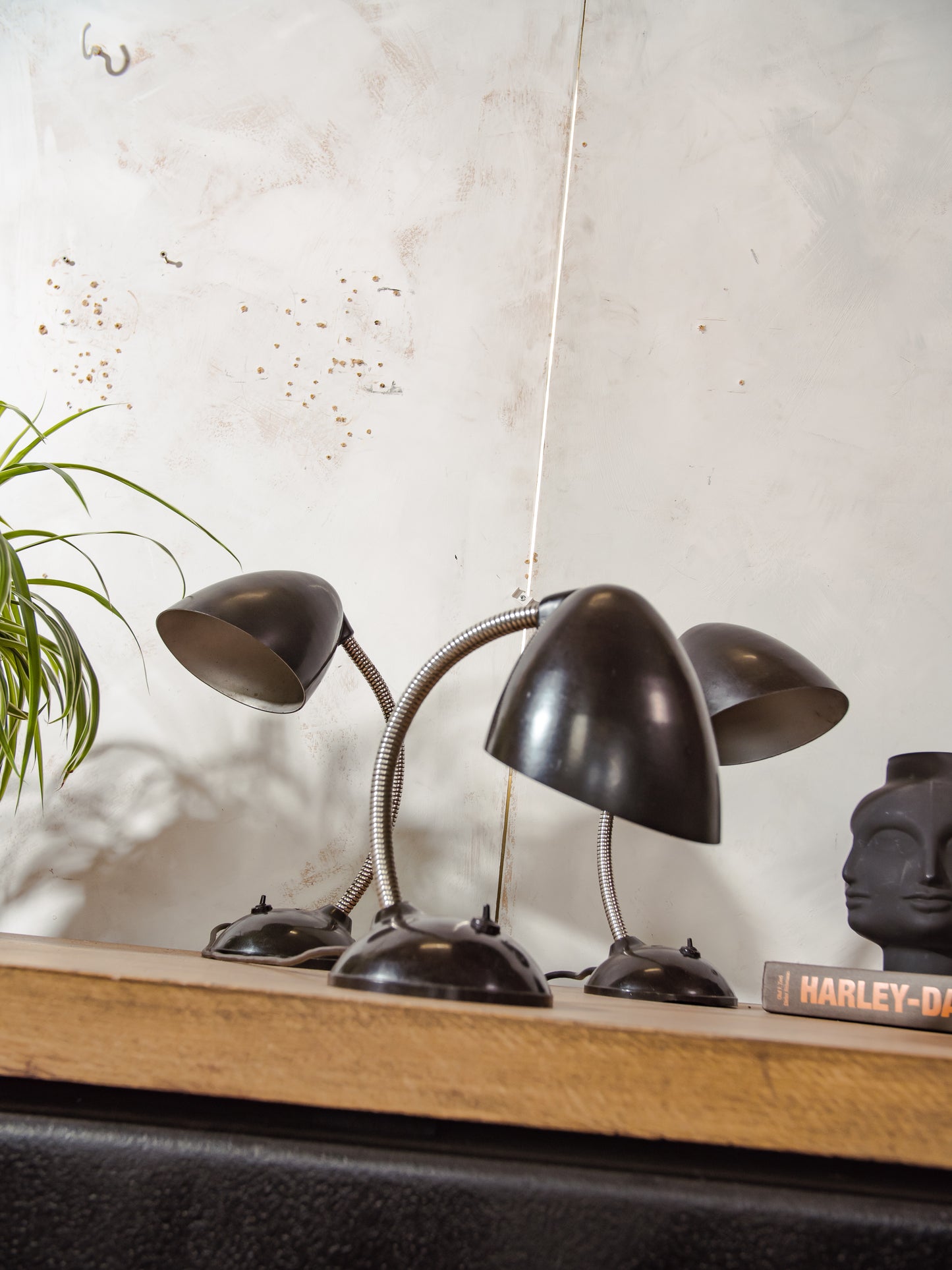 Vintage Eric Kirkman Cole bakelieten lamp, model 11105, Bauhaus bureaulamp uit de jaren 50, verstelbare zwanenhals tafel, designverlichting