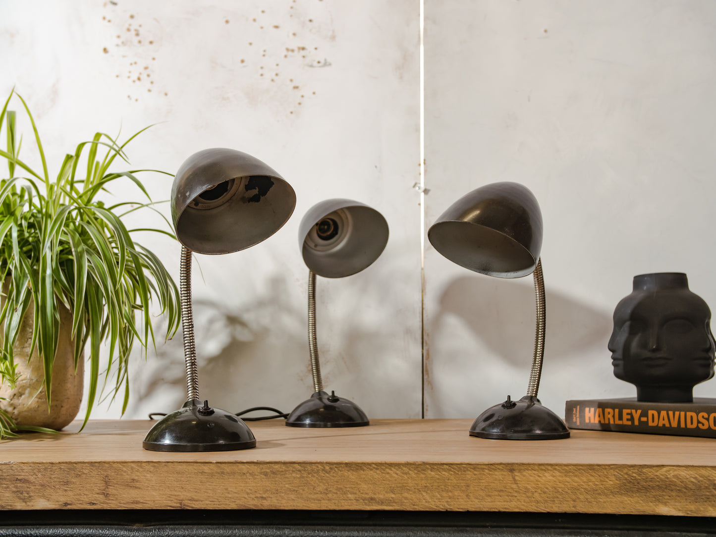 Vintage Eric Kirkman Cole bakelieten lamp, model 11105, Bauhaus bureaulamp uit de jaren 50, verstelbare zwanenhals tafel, designverlichting