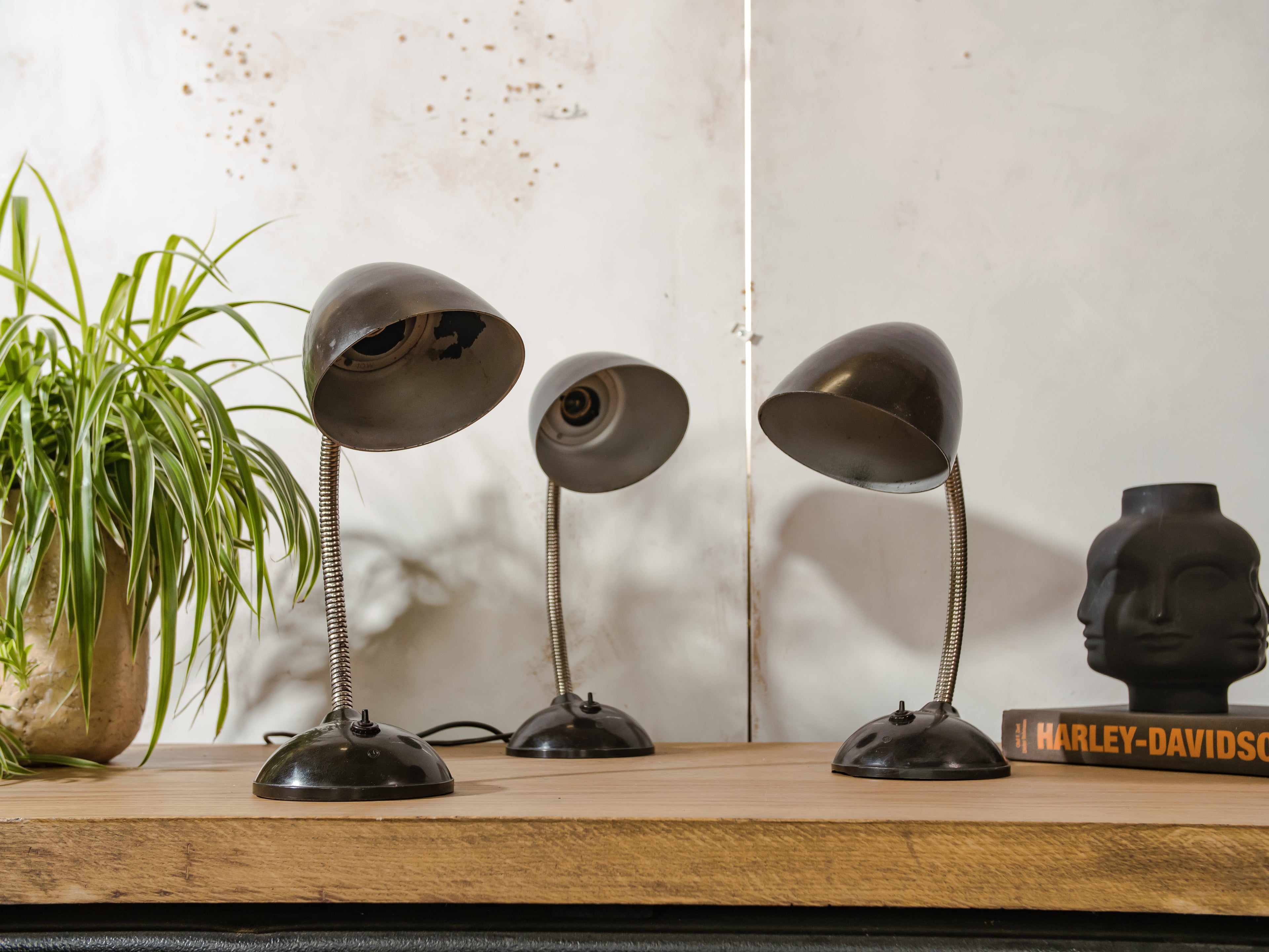 Vintage Eric Kirkman Cole Bakelite Lamp, Model 11105, 1950s Bauhaus Desk Light, Adjustable Gooseneck Table designer Lighting