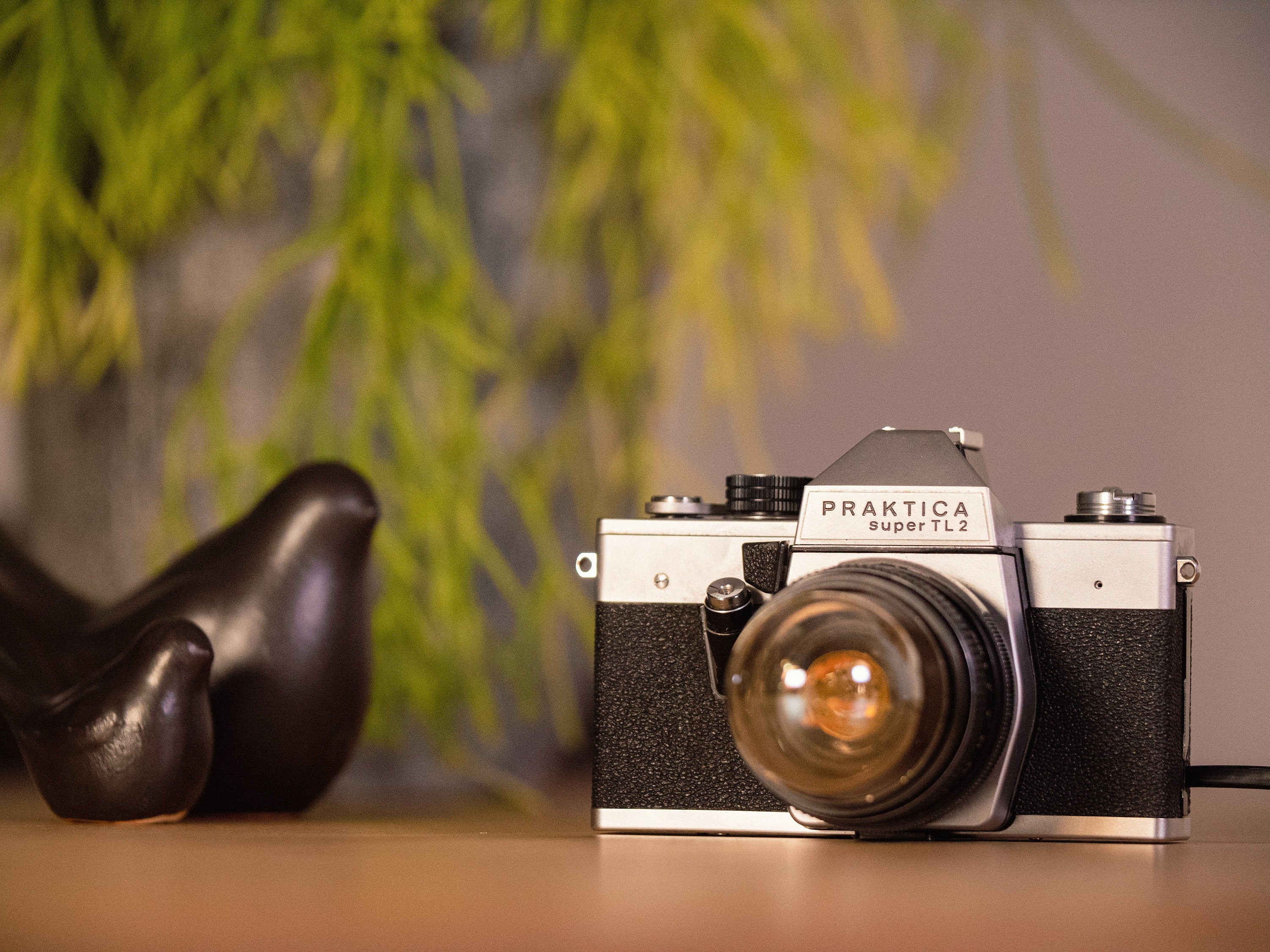 Photo Camera light, Praktica Super TL2 1970s Camera lamp upcycled SLR into Bed side lamp, Unique gift Photography, Unique lighting